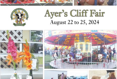 Ayer’s Cliff Fair 2024